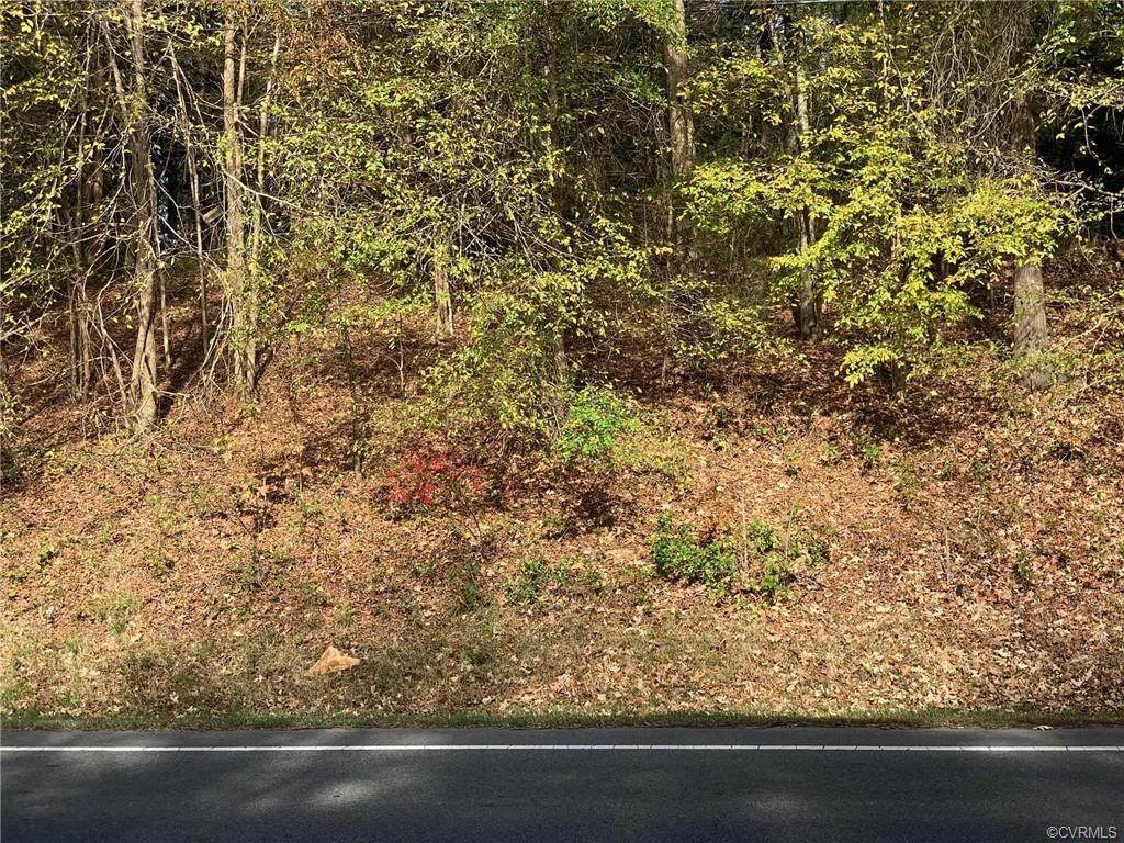 20.49 Anderson Highway - Photo 1