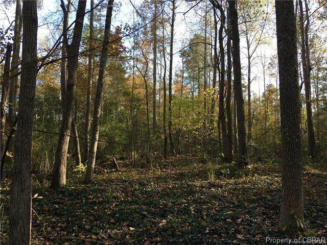 0 Hickory Neck Road - Photo 1
