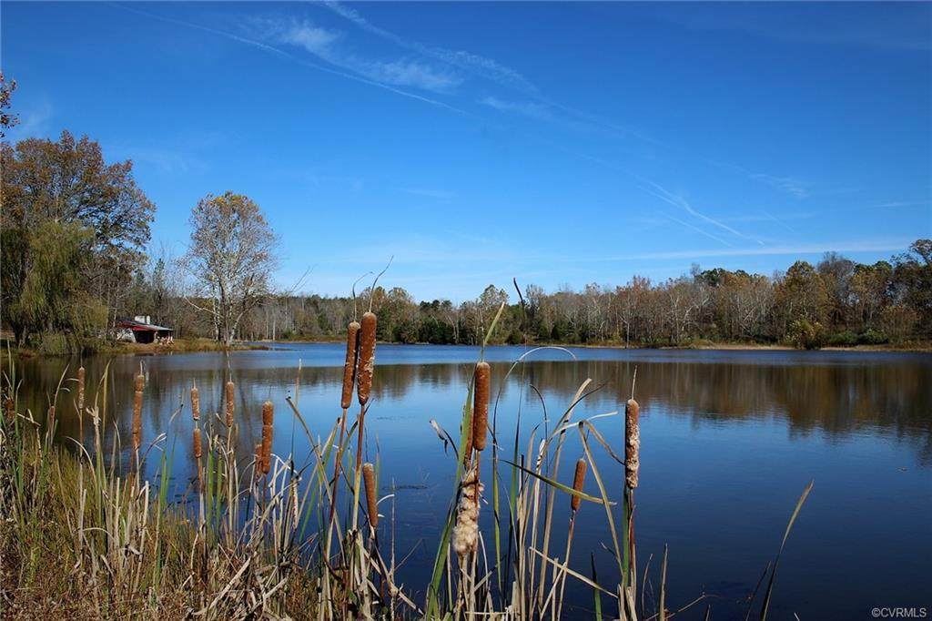 1294 Randolph Creek Road - Photo 1