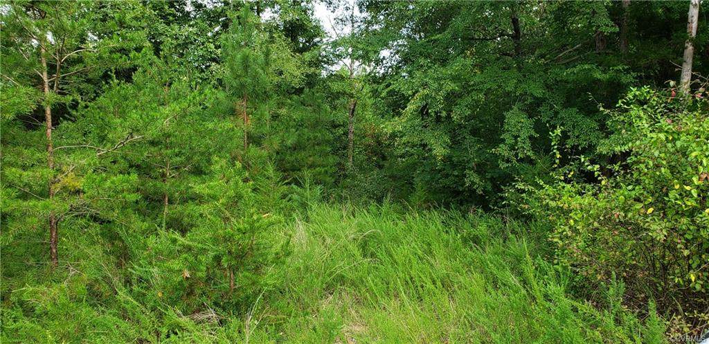 0000 Mountain Hall Road - Photo 1