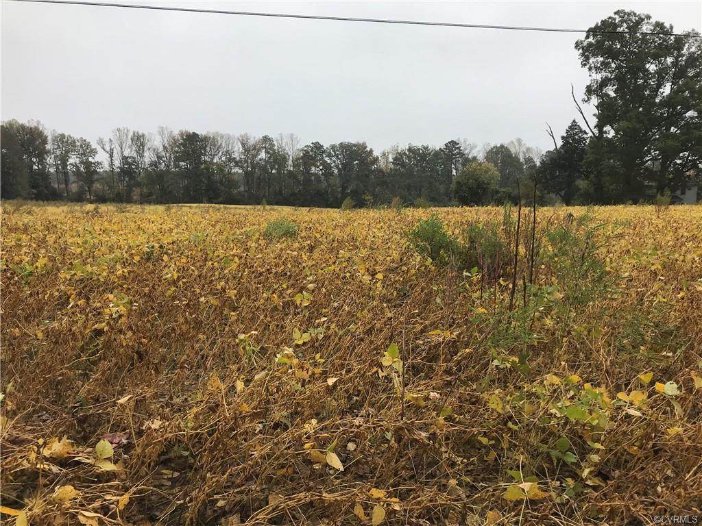 TBD White Oak Church Road - Photo 1