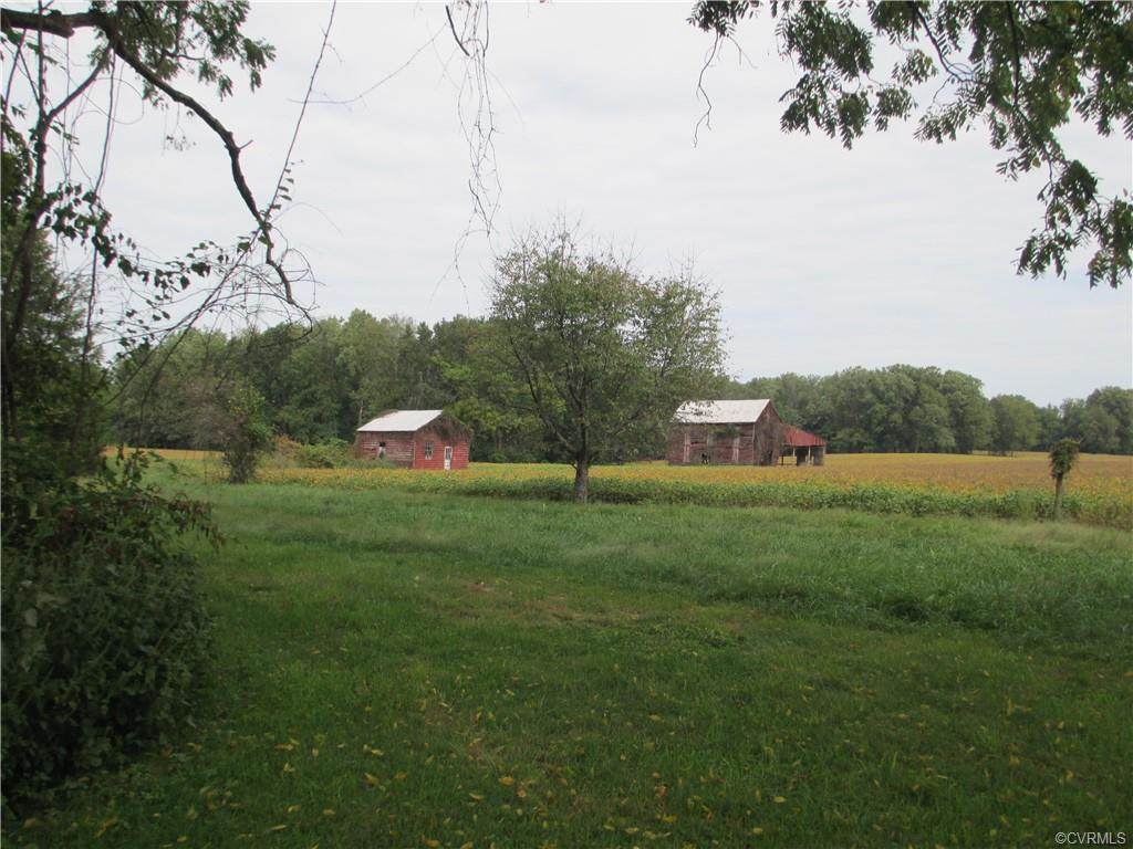 24419 Mattaponi Trail - Photo 1
