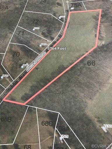 0 Amelia Springs Road - Photo 1