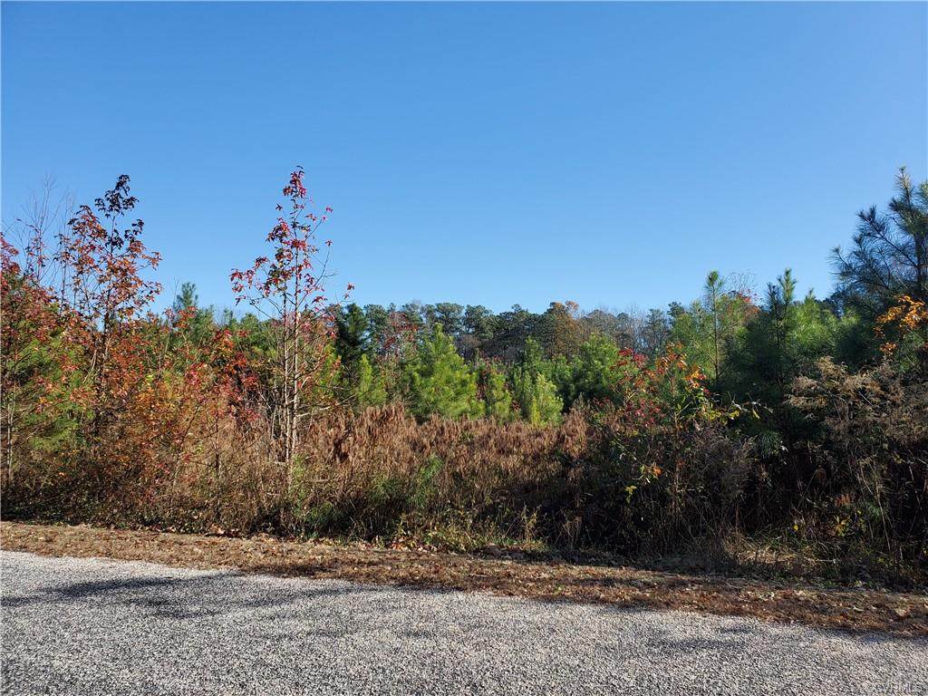 0TBD Wrights Dock - Photo 1