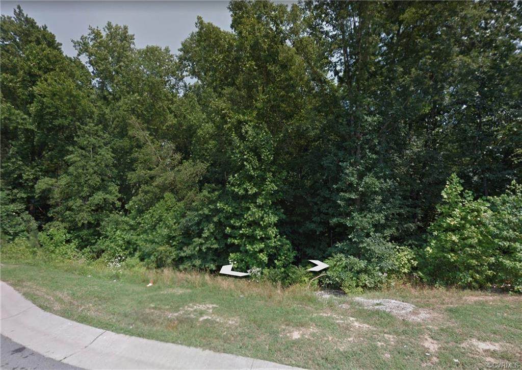 9066 Vidette Lane - Photo 1