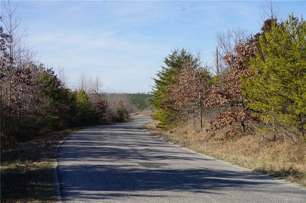 XX Fowlkes Bridge Road - Photo 1