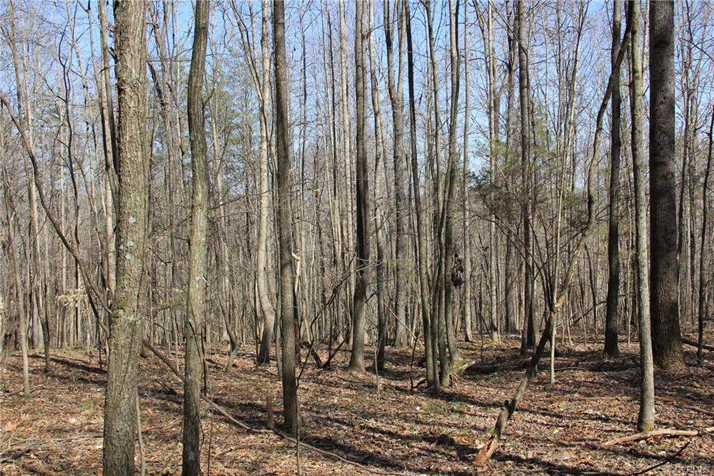 0 Henry's Mill Road - Photo 1