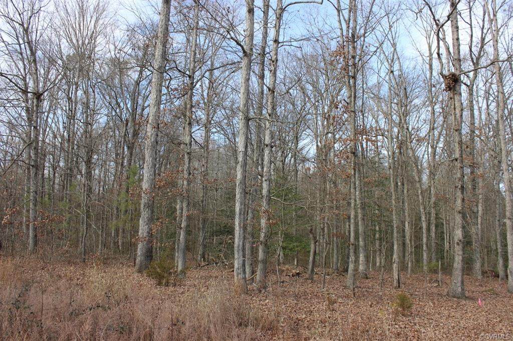 556 Church Hill Road - Photo 1