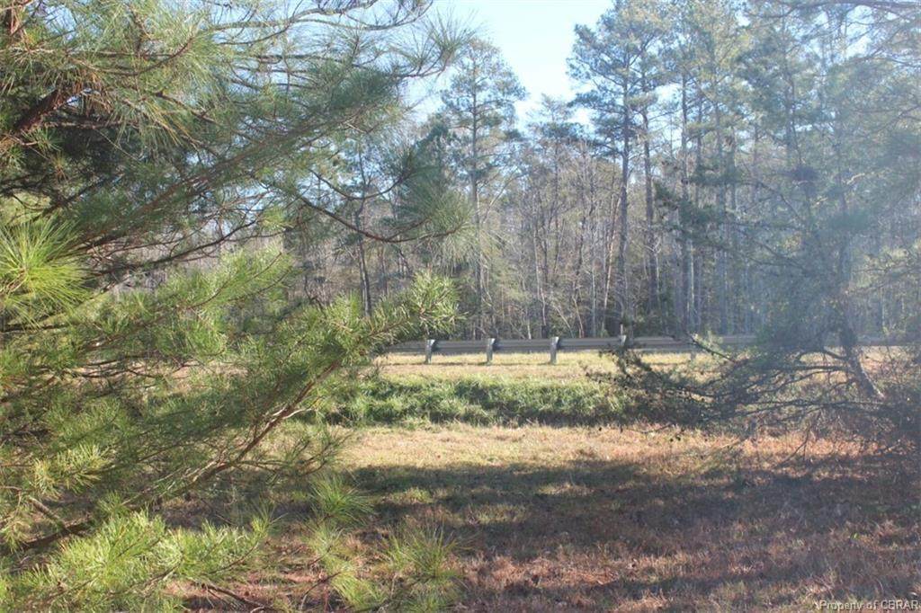 16.3AC Pierce Road - Photo 1