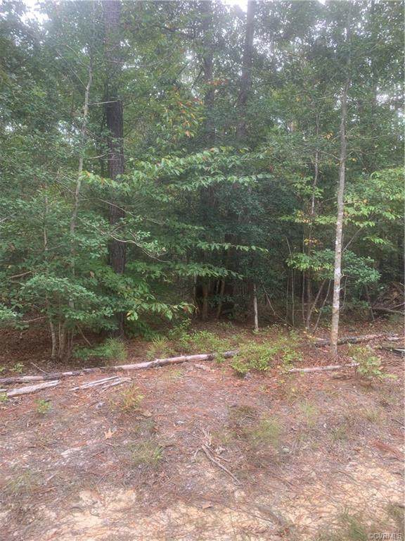 000 Two Rivers Trail - Photo 1