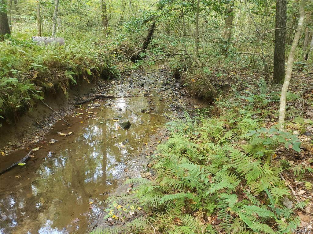 3897 Riddles Bridge Road - Photo 1