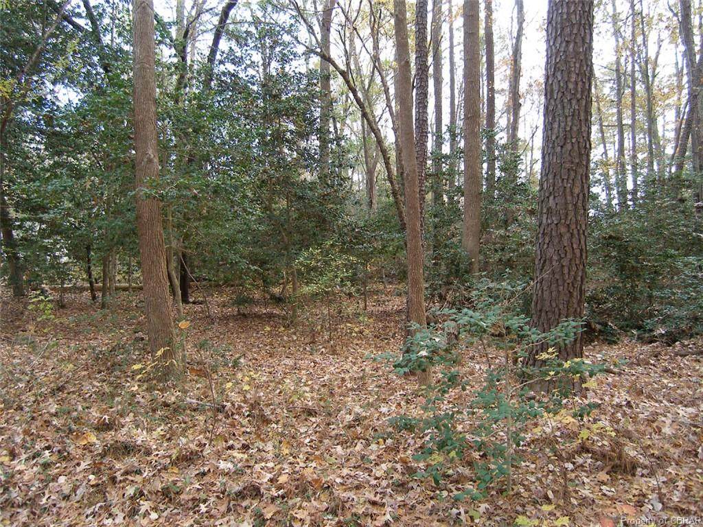 Lots118,119,120 Little John Street - Photo 1