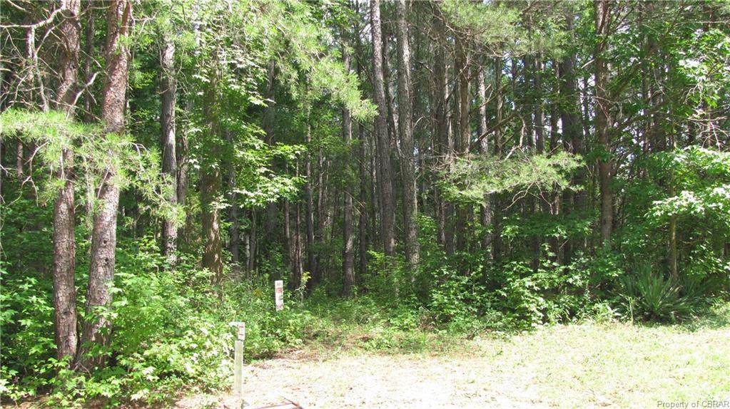 1188 Knights Landing - Photo 1