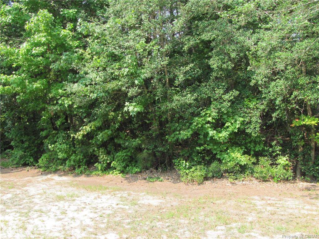 0 Lonesome Pine Trail - Photo 1