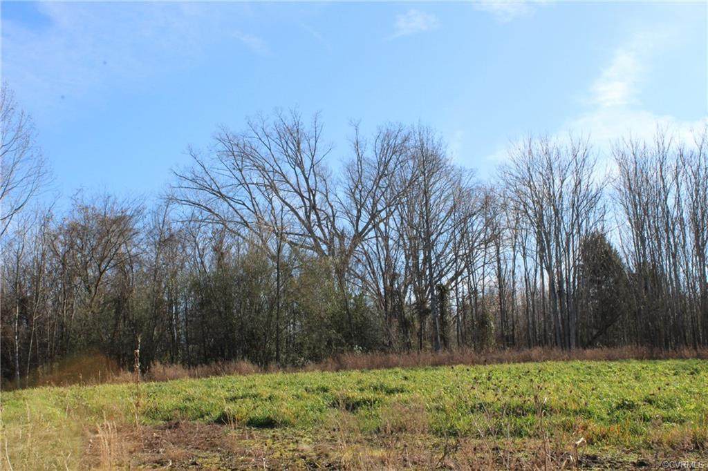 XX Cornfield Lane - Photo 1