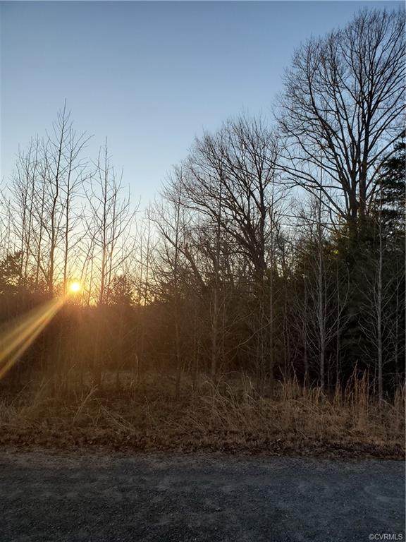0 Herbert Ln-Tisdale Rd. - Photo 1