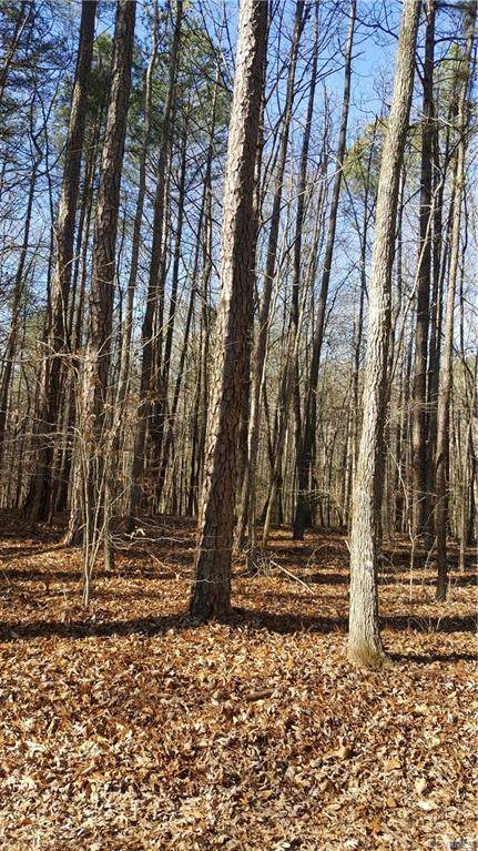 000 Whitewood Lane - Photo 1