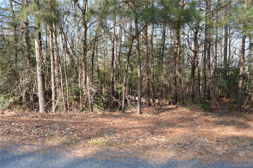 050 Mallard Bay Drive - Photo 1