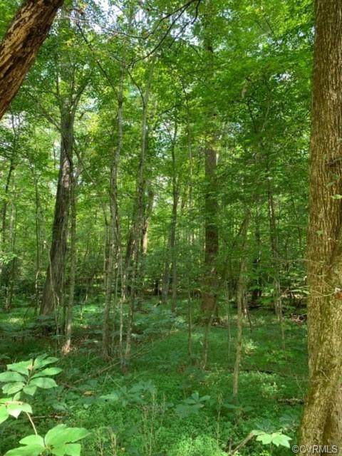 0 lot Fredericks Hall Rd - Photo 1