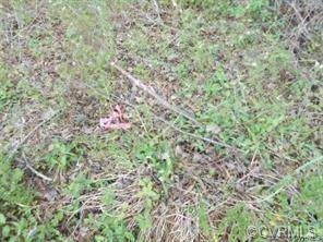 000 Little Mill Road - Photo 1