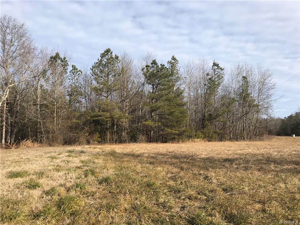 131 Black Gum Road - Photo 1