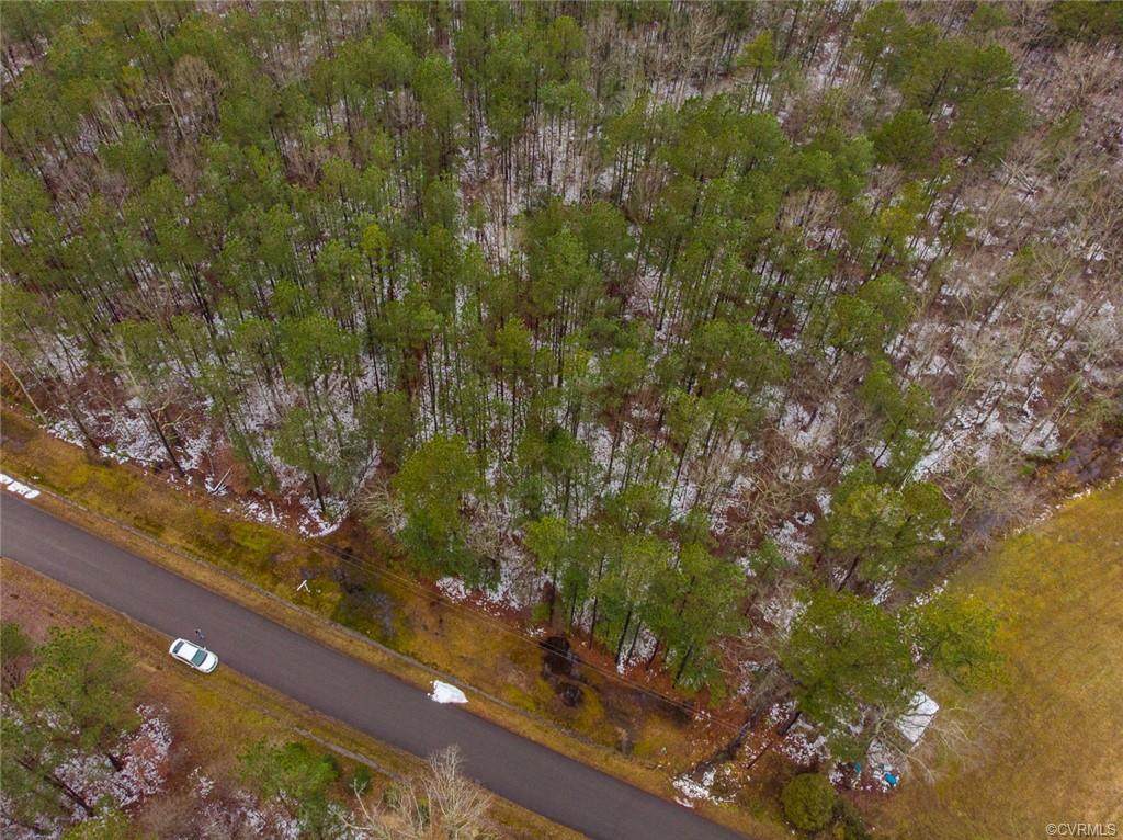 11109 Dude Ranch Road - Photo 1