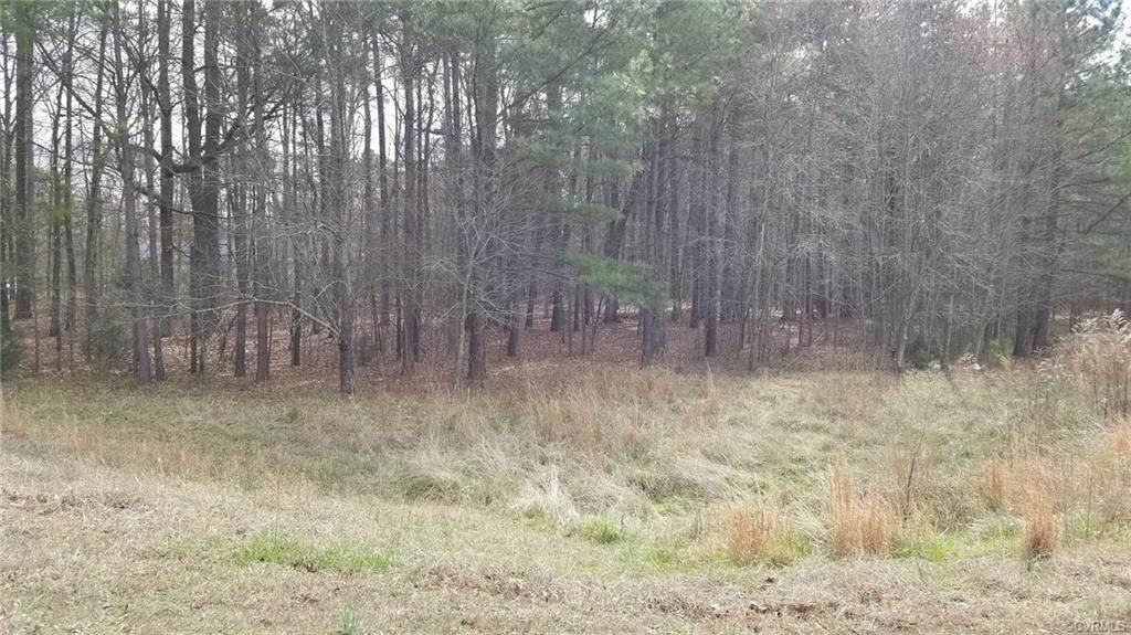 6881 Millers Crossing Trail - Photo 1