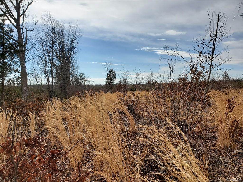 00 Shelton Store Rd - Photo 1