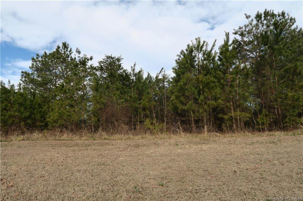 Lot 29 Audubon Drive - Photo 1