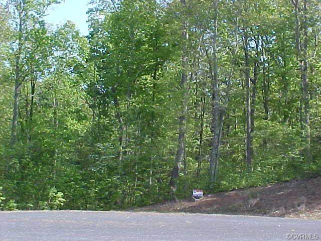 0 Lake Pointe Court - Photo 1