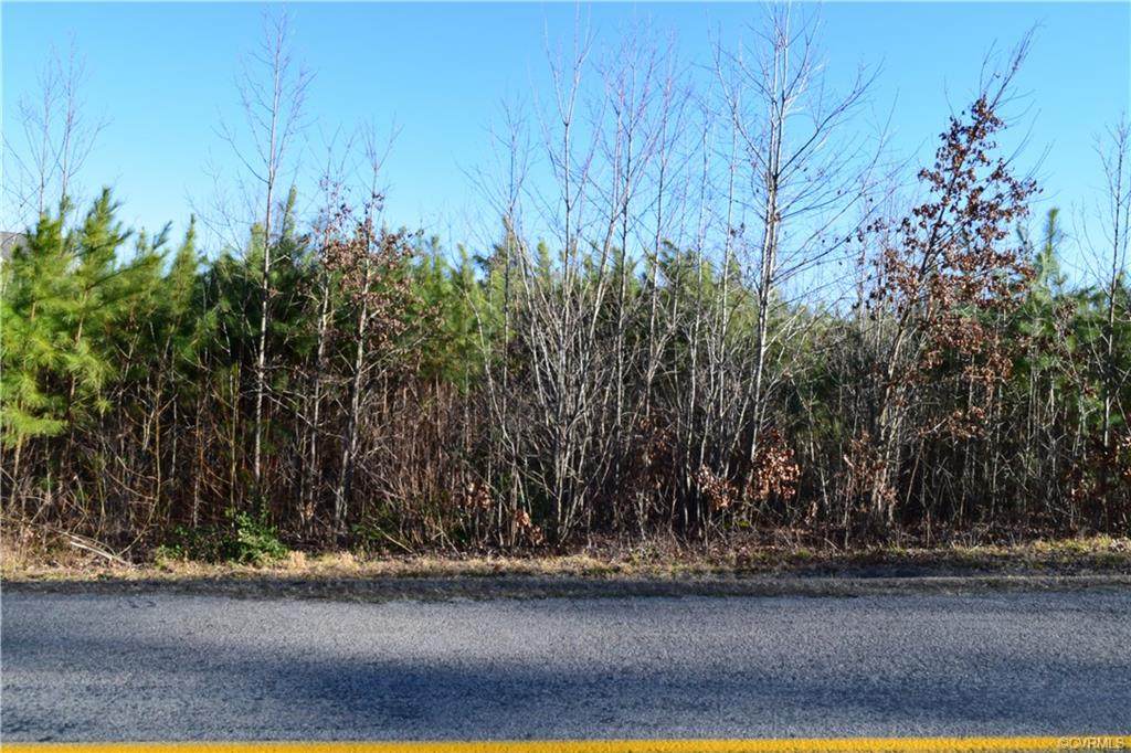 TBD Lundy Road - Photo 1