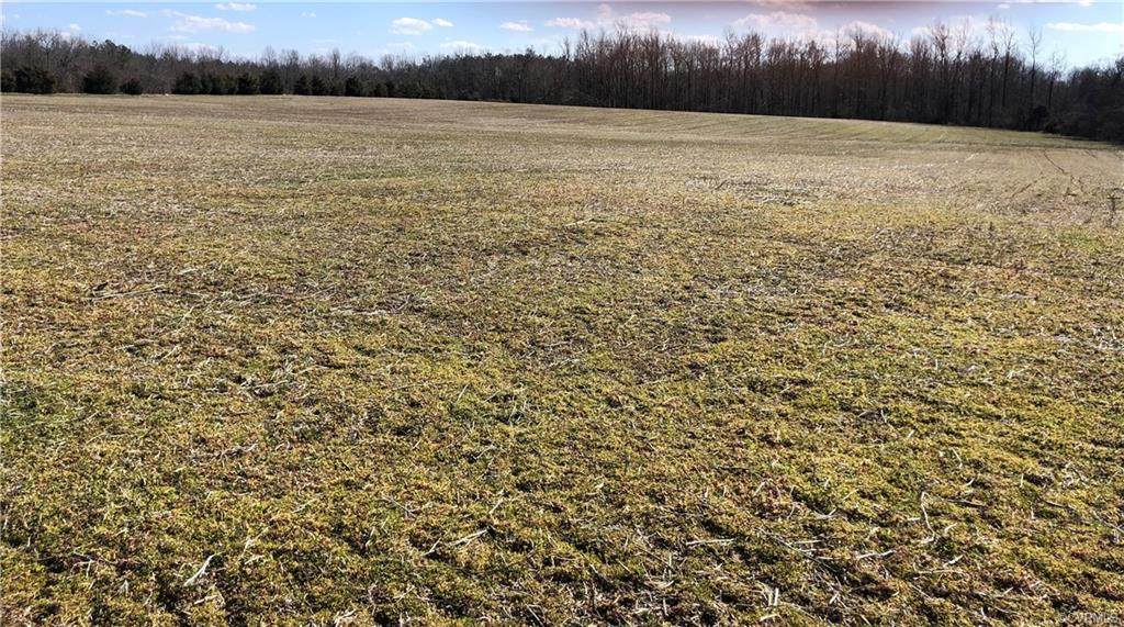 16.289 ACRES, Namozine Road - Photo 1