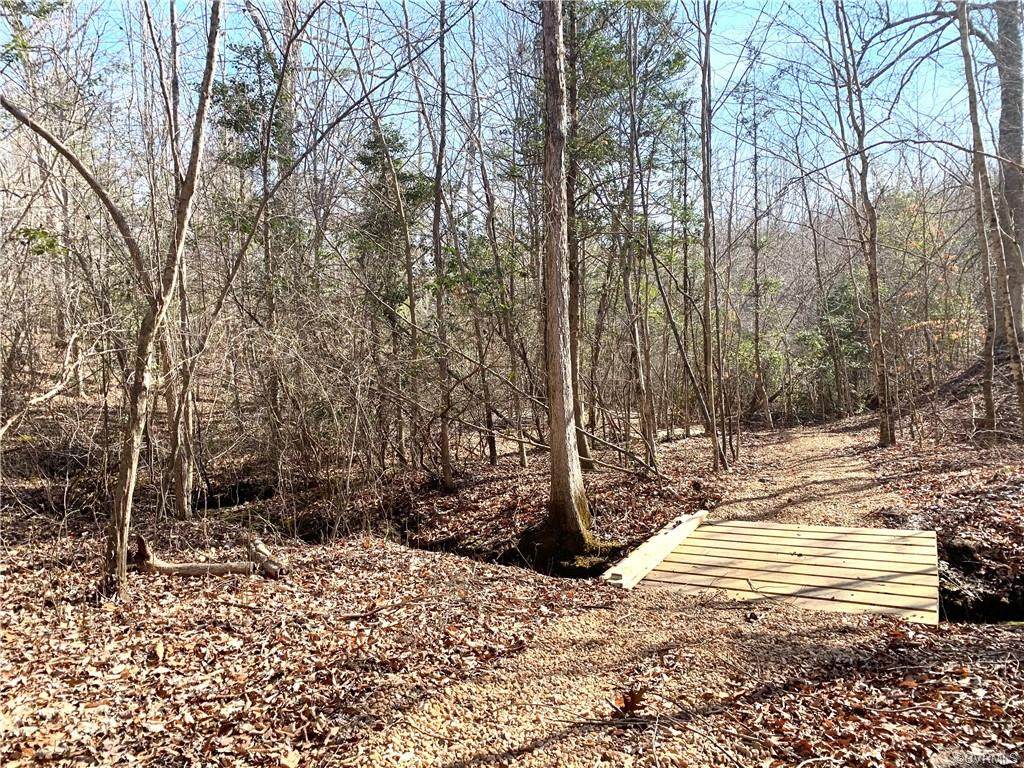 Lot 3 Churchland Farms Road - Photo 1