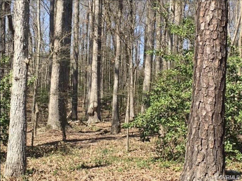 2428 Cheney Creek Road - Photo 1