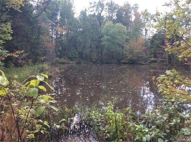 0 Hadensville Fife Road - Photo 1