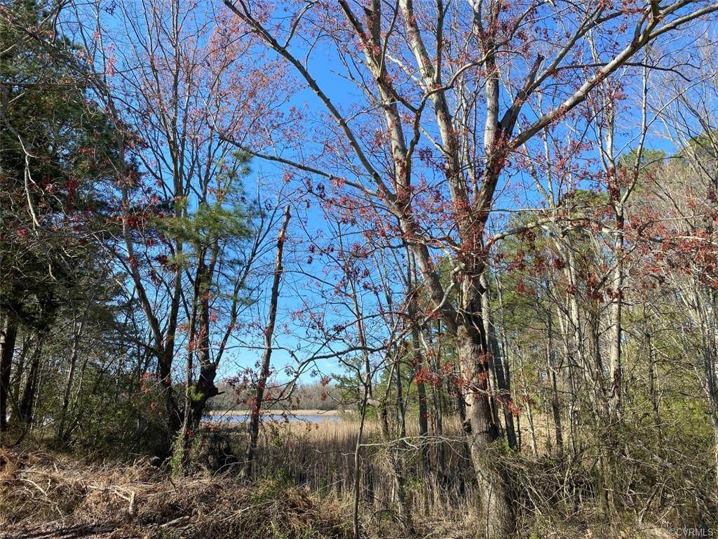 000 Cedar Point Road - Photo 1