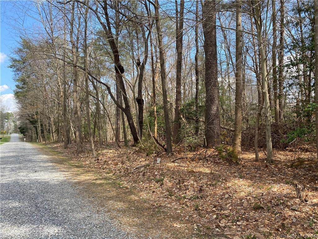 LOT 7 Laurel Farms Lane - Photo 1