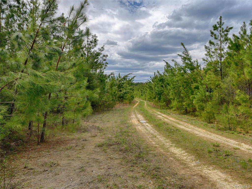 614 Plain Dealing Road - Photo 1