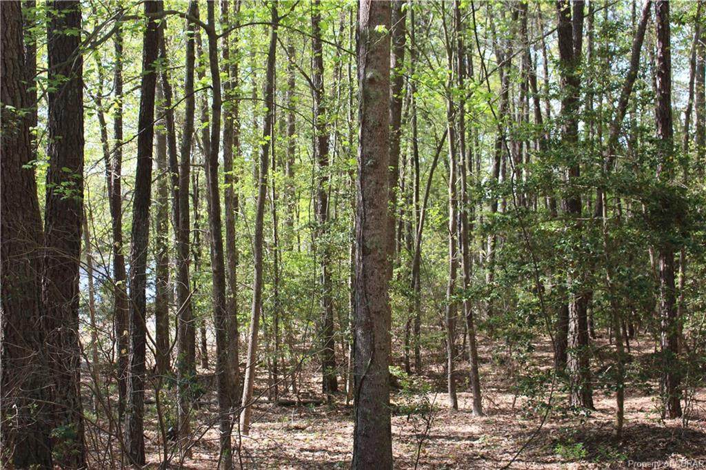Lot 11 Bayberry Lane - Photo 1