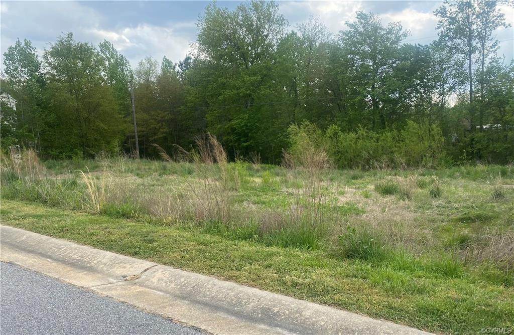 12506 Chester Grove Drive - Photo 1