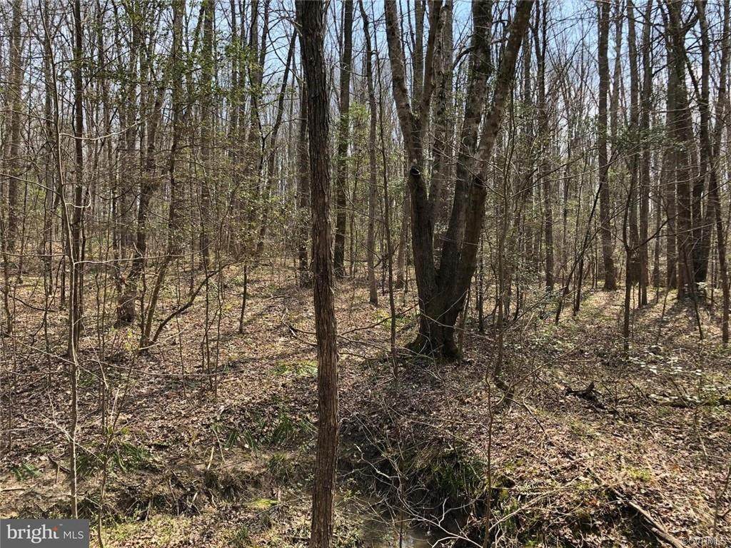 4405 Willann Lane - Photo 1