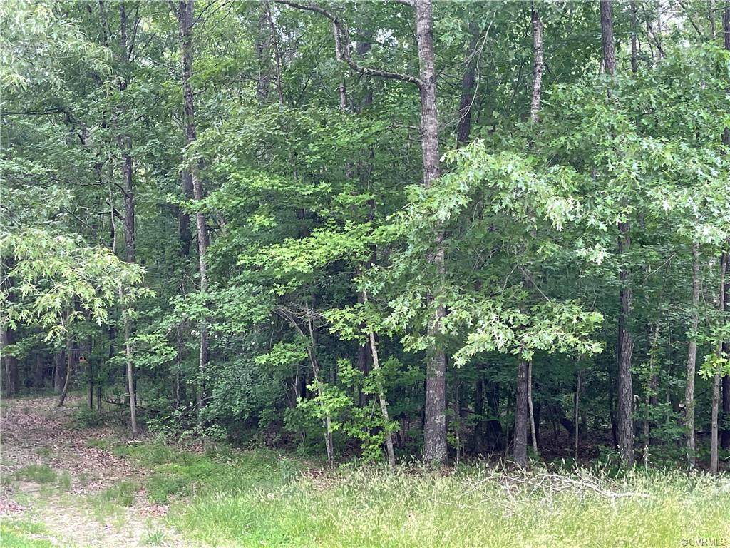 0 Minitree Glen Drive - Photo 1
