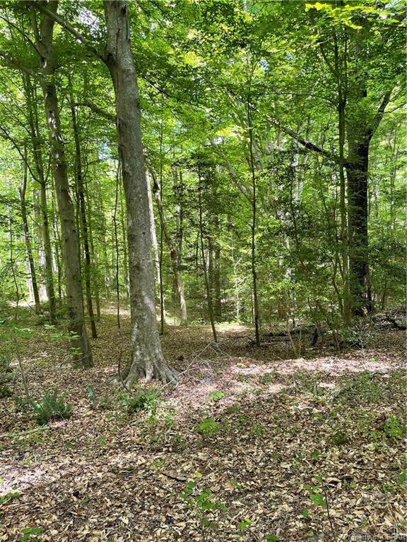 00 Ark Road - Photo 1