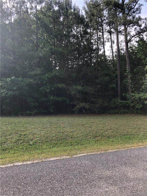 Lot 5 Avis Trail Road - Photo 1