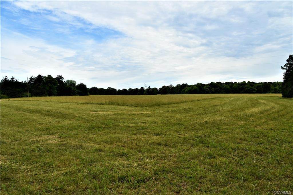 0 Mount Hope Church Road - Photo 1