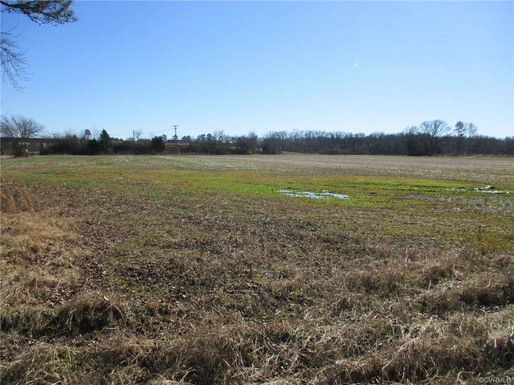 13177 Cedar Road - Photo 1