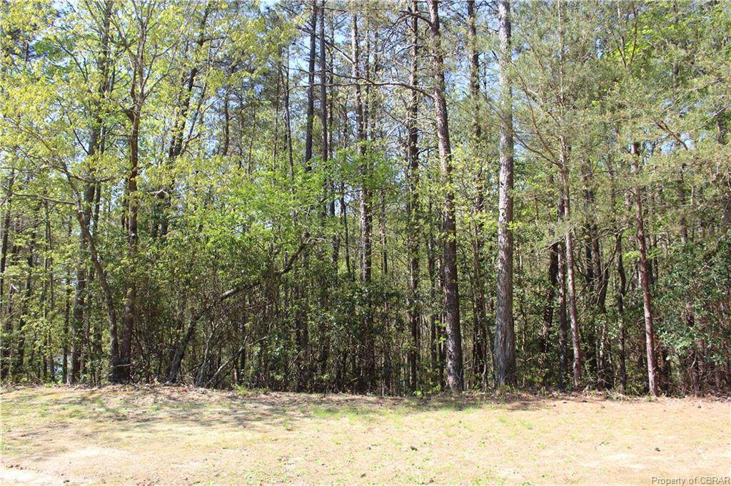 Lot 11 Bayberry - Photo 1