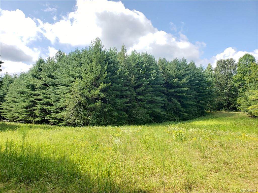 0 Mt. Pleasant Road - Photo 1