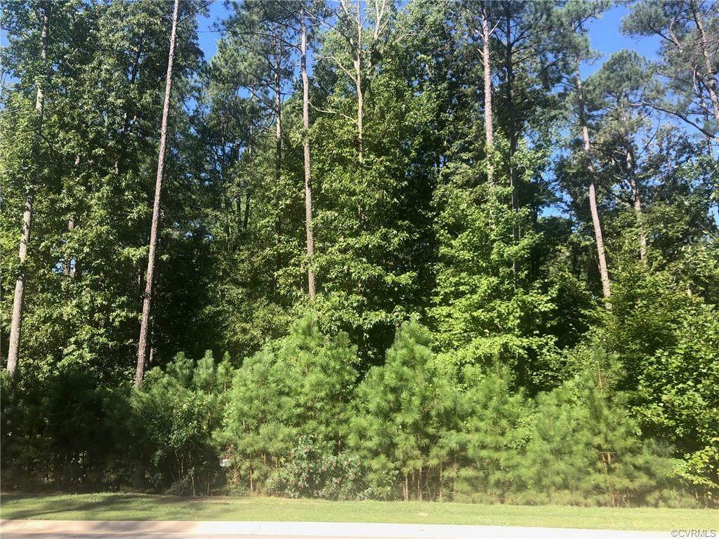 13461 Poplar Valley Place - Photo 1