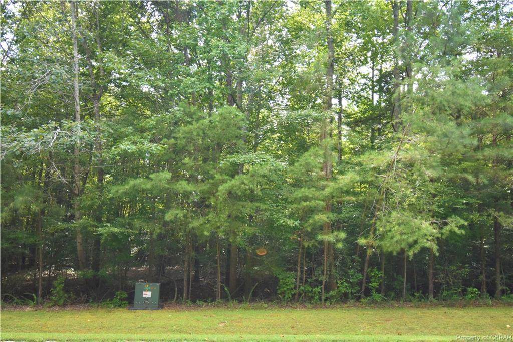 Lot 18 Steamboat Lane - Photo 1